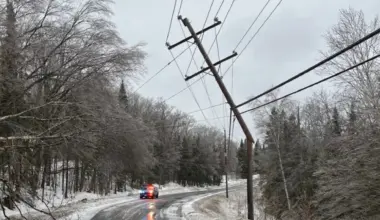 Strong winds up to 90 km/h expected in Toronto area, power outages possible