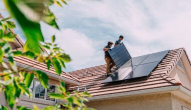 Government to make 'plug-in' solar panels available within months