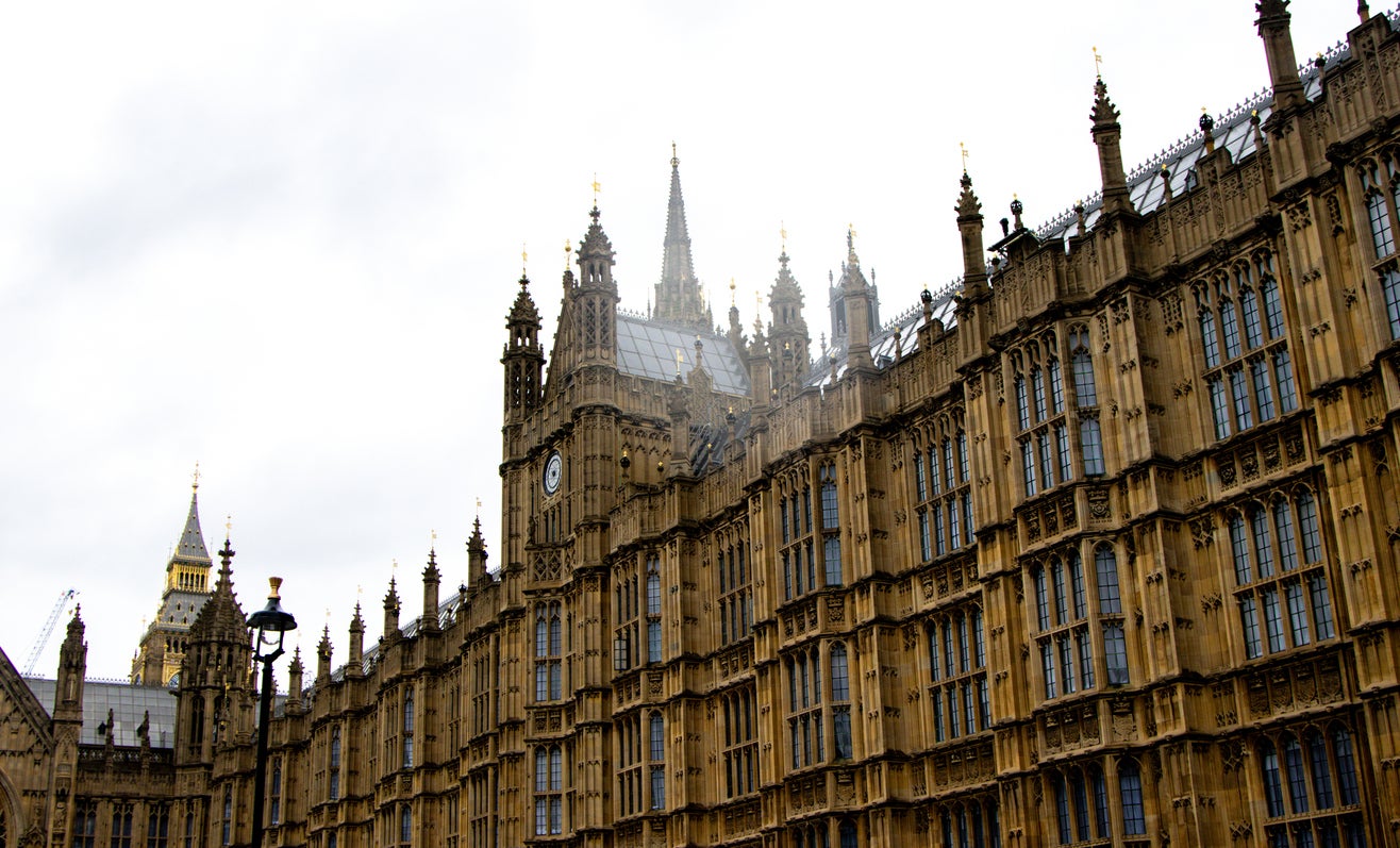 MPs debated the Lords-backed ban for the first time on Monday