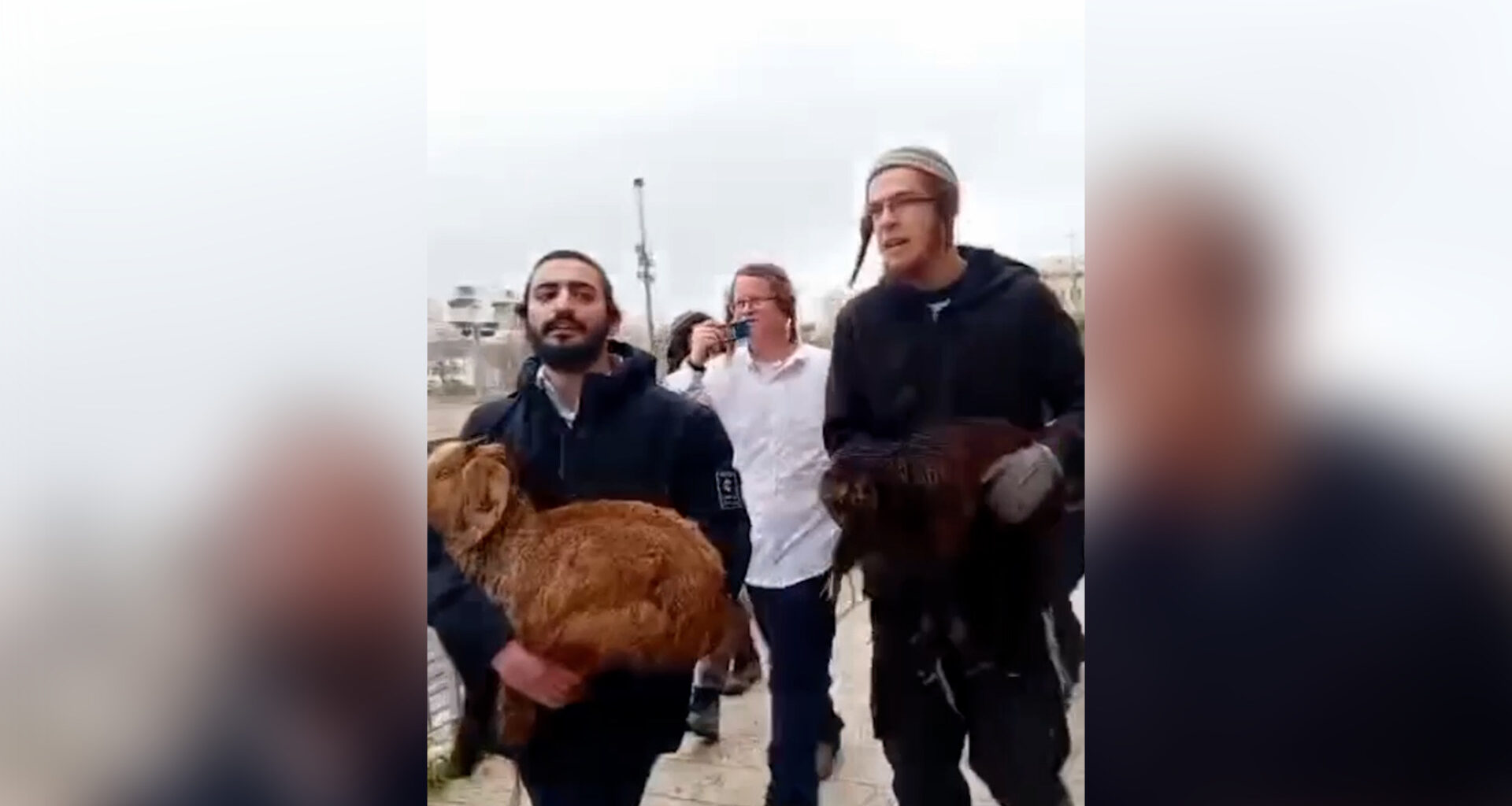 Israelis attempt to perform Passover sacrifice at Al-Aqsa | Israel-Palestine conflict News