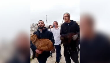 Israelis attempt to perform Passover sacrifice at Al-Aqsa | Israel-Palestine conflict News
