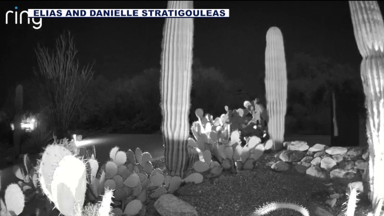 Nancy Guthrie: Sheriff department 'refocusing resources' in investigation 