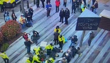 Palestine Action supporters arrested as London’s Met Police reverse policy | Israel-Palestine conflict News