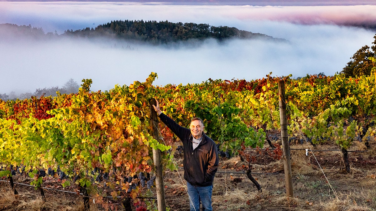 Moe Momtazi poses in his family's Oregon vineyard with a fog in the background.