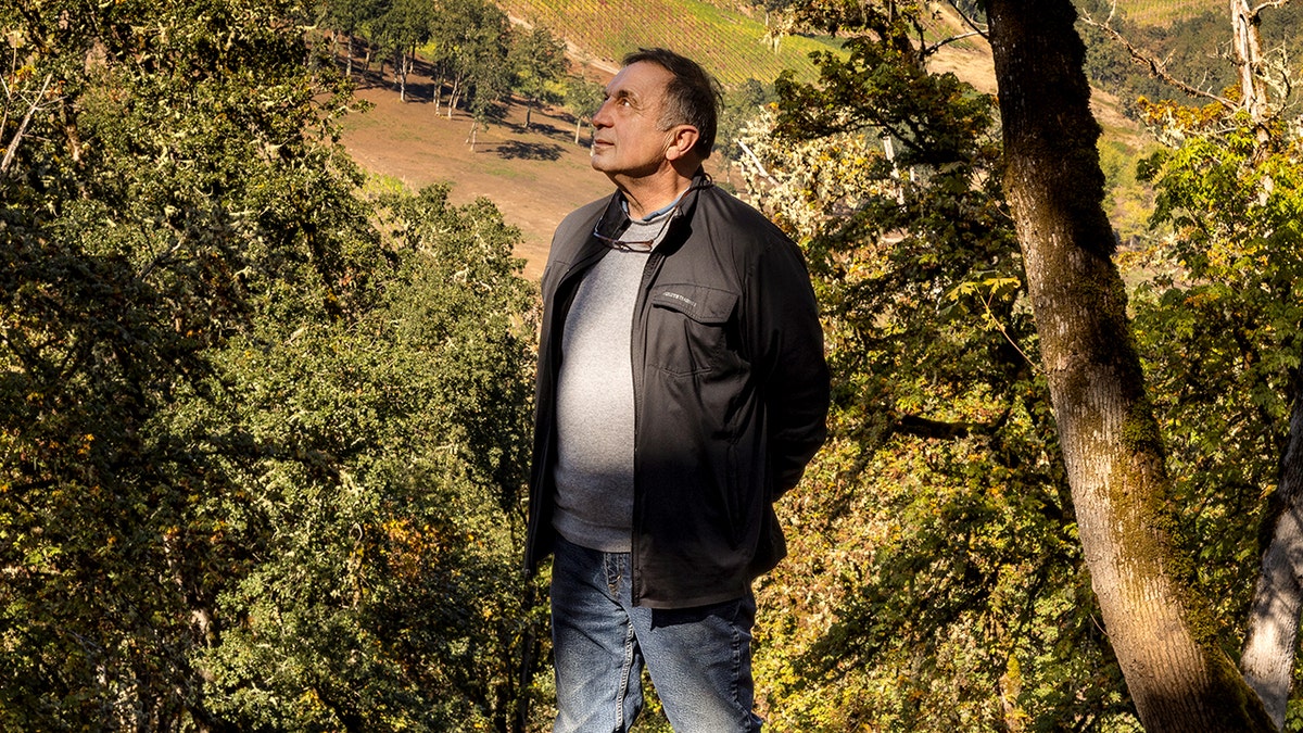 Moe Momtazi looks up while standing in his vineyard.