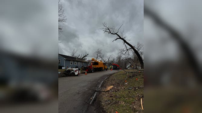 Widespread tornado damage in Union City, MI, March 7.