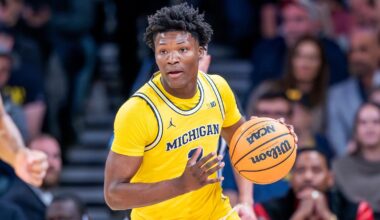 Morez Johnson Jr. (Marc-Grégor Campredon)