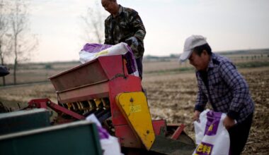 Not just energy: How the Iran war could trigger a global food crisis | US-Israel war on Iran News