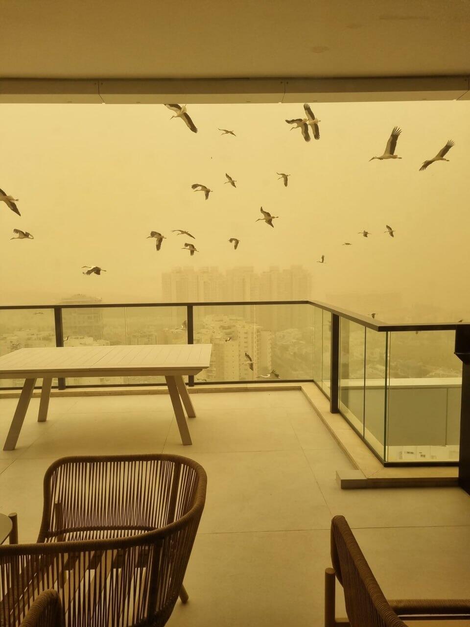 Rishon LeZion (Photo: Dorit Ziv) אובך בבת ים וראשון לציון