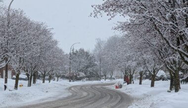 Significant snow, strong wind forecasted for Waterloo Region Friday