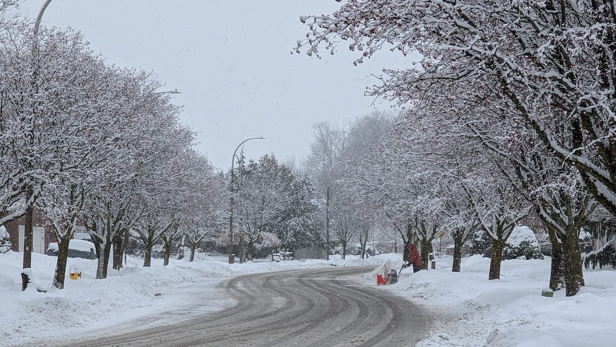 Significant snow, strong wind forecasted for Waterloo Region Friday