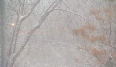 Much of Alberta, parts of B.C. and Saskatchewan set to see dangerous winds