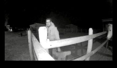 Man charged with bestiality, accused of sexually assaulting horse on Vernon farm