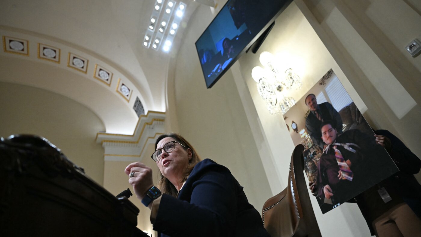 DHS shutdown curbs detention oversight, Democrat says : NPR