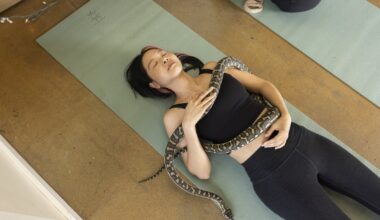 Over puppy yoga? Try it with snakes. : NPR