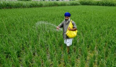 How the Iran war threatens global food supply : NPR