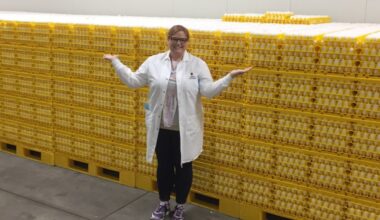 Why your egg prices are so much lower than last year : NPR