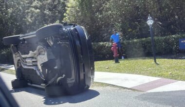 Tiger Woods released on bail after car crash and arrest