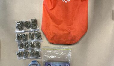 Weed accidentally donated to New Zealand charity shop