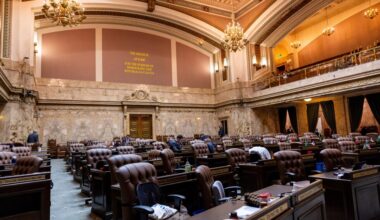 Blue states consider tax on millionaires to help fund vital services