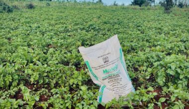 Fertilizer crisis hits farmers as Iran war disrupts supply