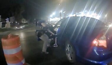 Videos show death of US citizen shot by immigration agent in Texas