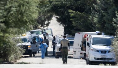Hundreds of dogs and cats rescued in L.A. County enforcement operation
