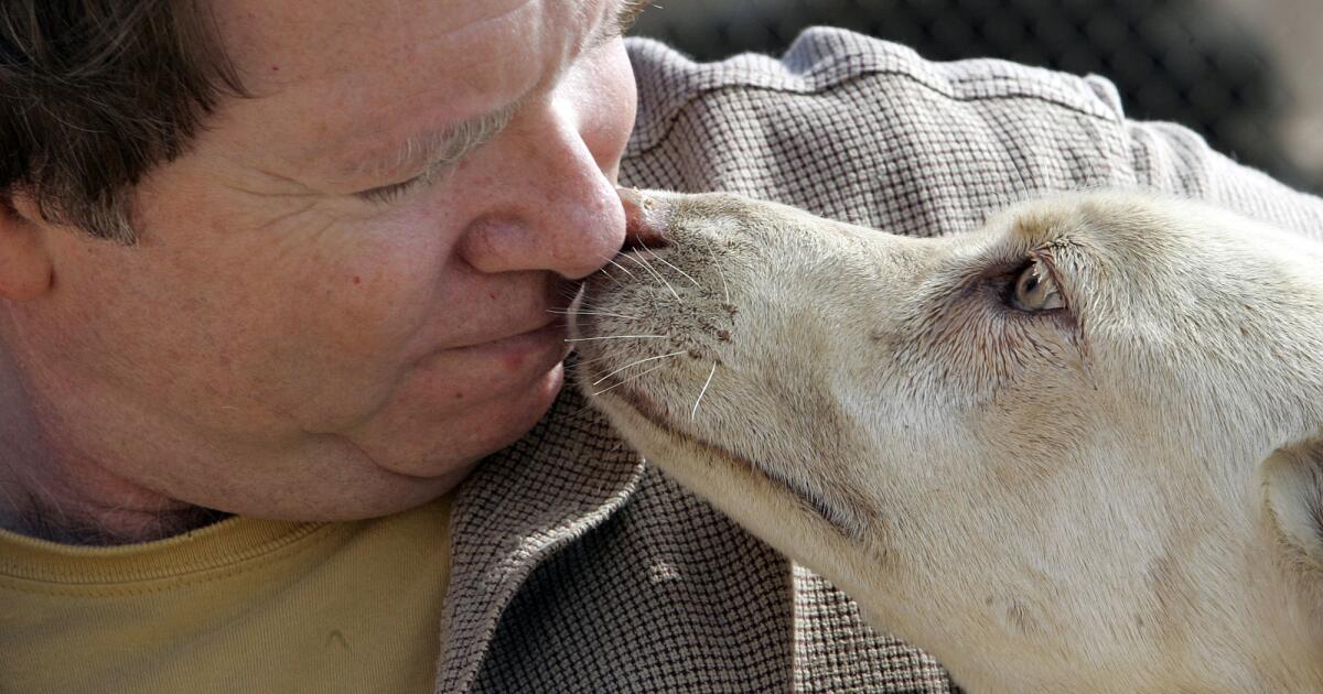 Feds: Animal rescue owner plotted to kidnap former employee rather than pay her