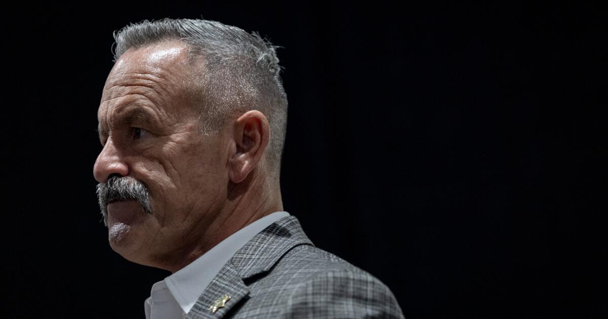 Riverside County Sheriff Chad Bianco suspends election fraud probe