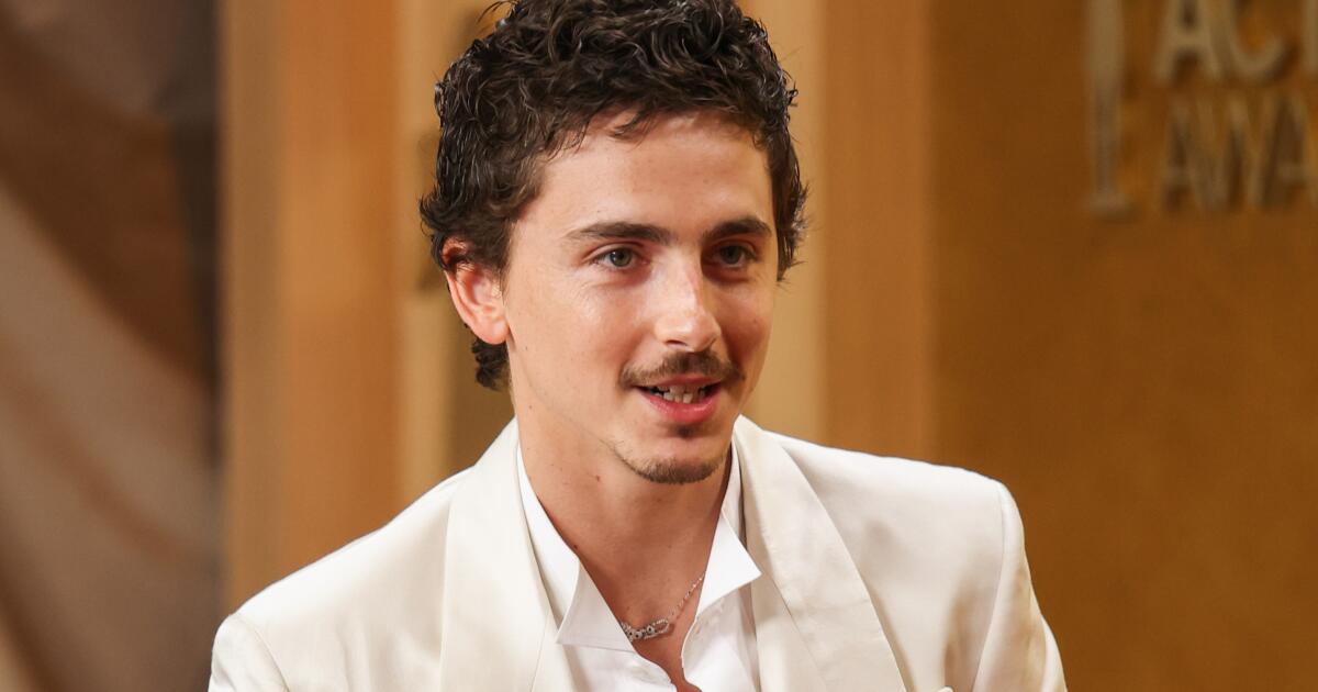 Timothée Chalamet's ballet and opera comments' backlash proves his point