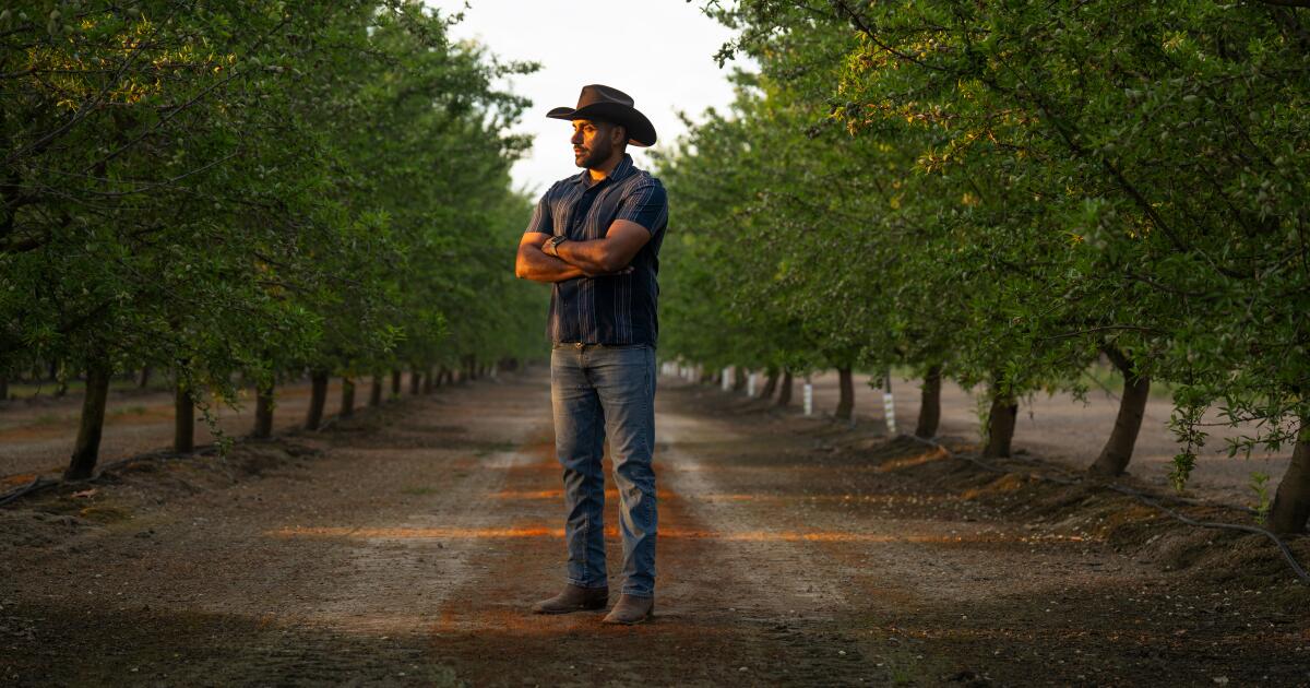 California farmers were already struggling. Then came the Iran war