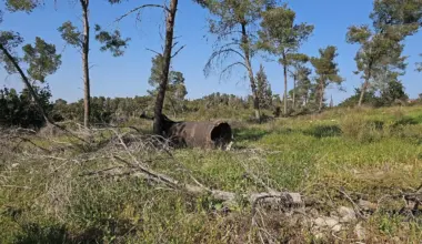 Israel shuts down national parks, trails amid war with Iran - JNS.org