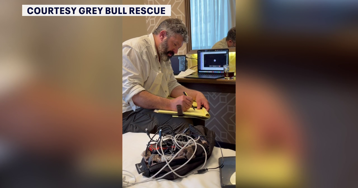 American families stranded in Israel turn to Grey Bull Rescue: 'The name of the game is speed'