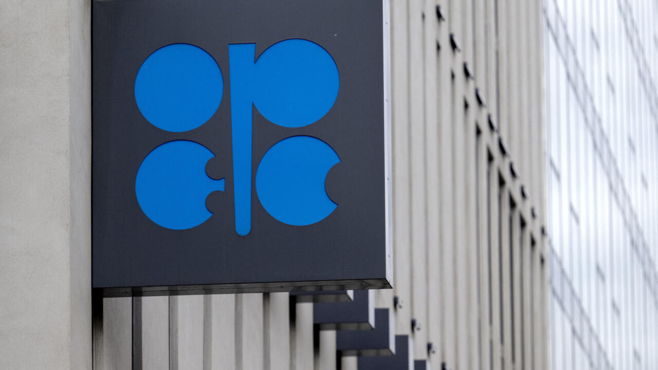 UAE to quit global oil cartel OPEC, citing 'national interests' - France 24