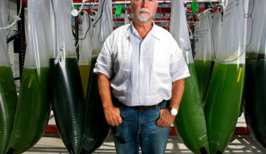 J. Craig Venter, Scientist Who Decoded the Human Genome, Dies at 79
