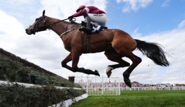 First horse dies at Grand National Festival at Aintree after winning novices race