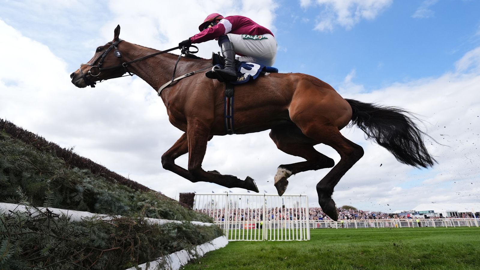 First horse dies at Grand National Festival at Aintree after winning novices race