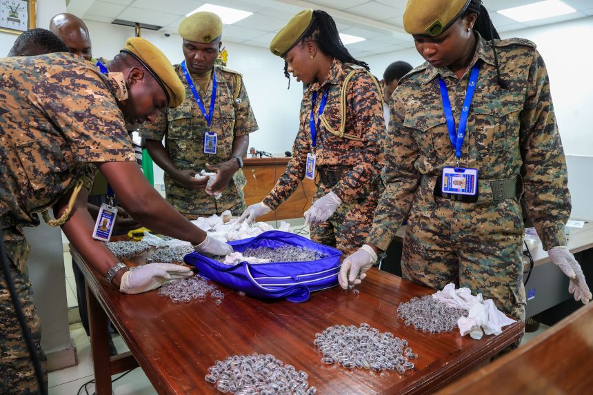 Kenyan wildlife officers sort live queen garden ants being exhibited in court in Nairobi last month.