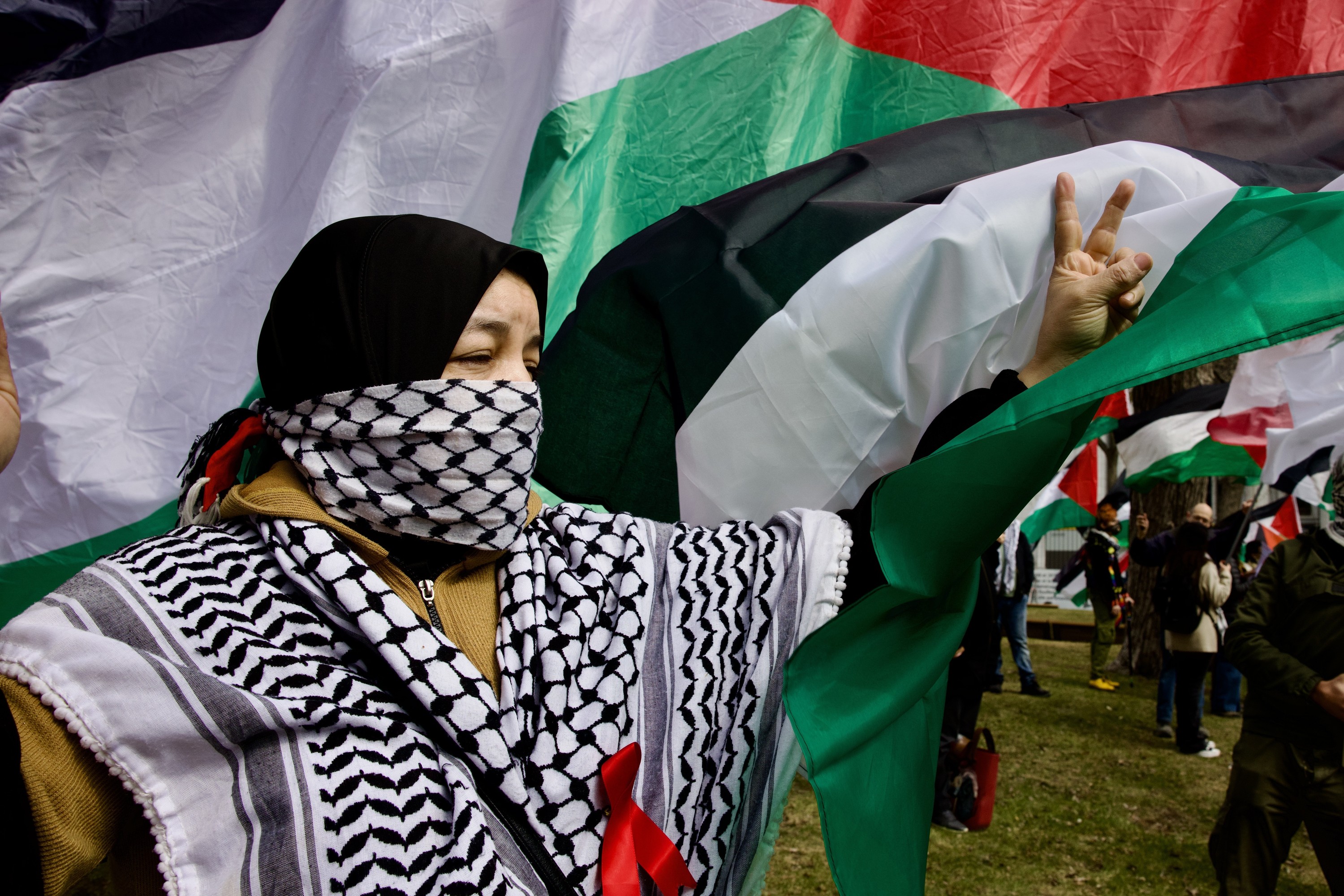 A woman with her face and head covered is surrounded by Palestinian flags.