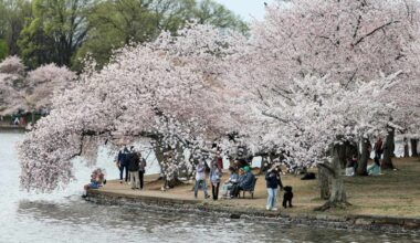 hottest and driest in U.S. history » Yale Climate Connections