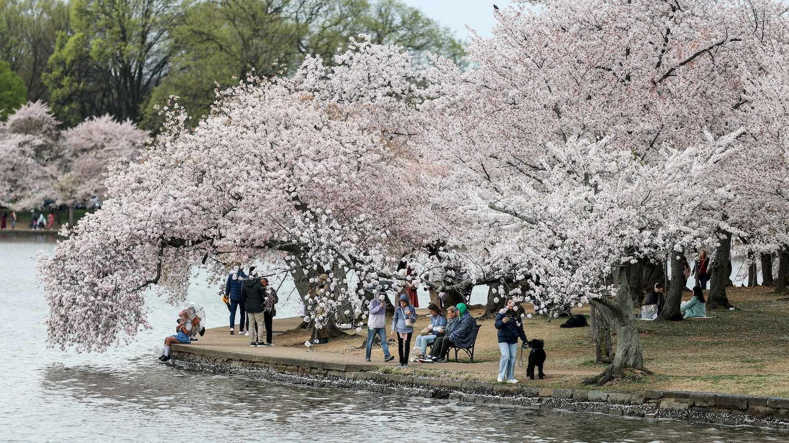 hottest and driest in U.S. history » Yale Climate Connections