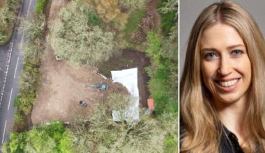 Sevenoaks council launches planning investigation at Church Road Sundridge following ‘unauthorised’ Traveller works