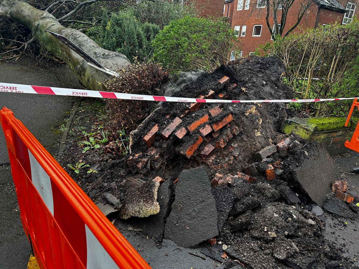 Damage caused to the pavement by the fallen tree