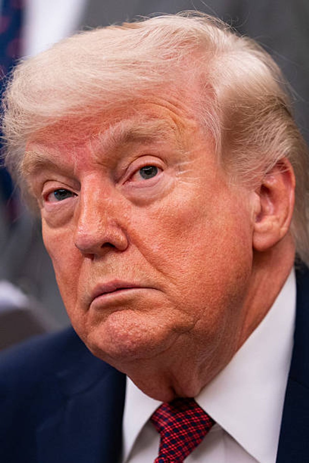 US President Donald Trump (file image)