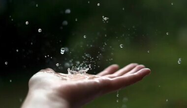 Heatwave ahead before sharp cooldown, rain expected