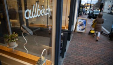 Allbirds pivots from shoes to AI, stock explodes more than 200%