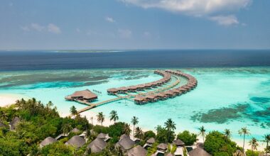 A tourist is fighting for his life after being attacked by a shark on his honeymoon in the Maldives (file image)