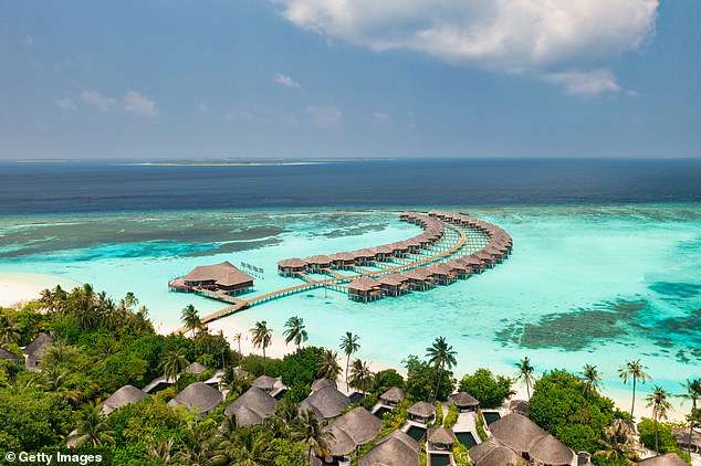 A tourist is fighting for his life after being attacked by a shark on his honeymoon in the Maldives (file image)