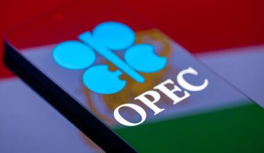 OPEC+ debates making oil output hike amid Iran war paralysis: Reuters