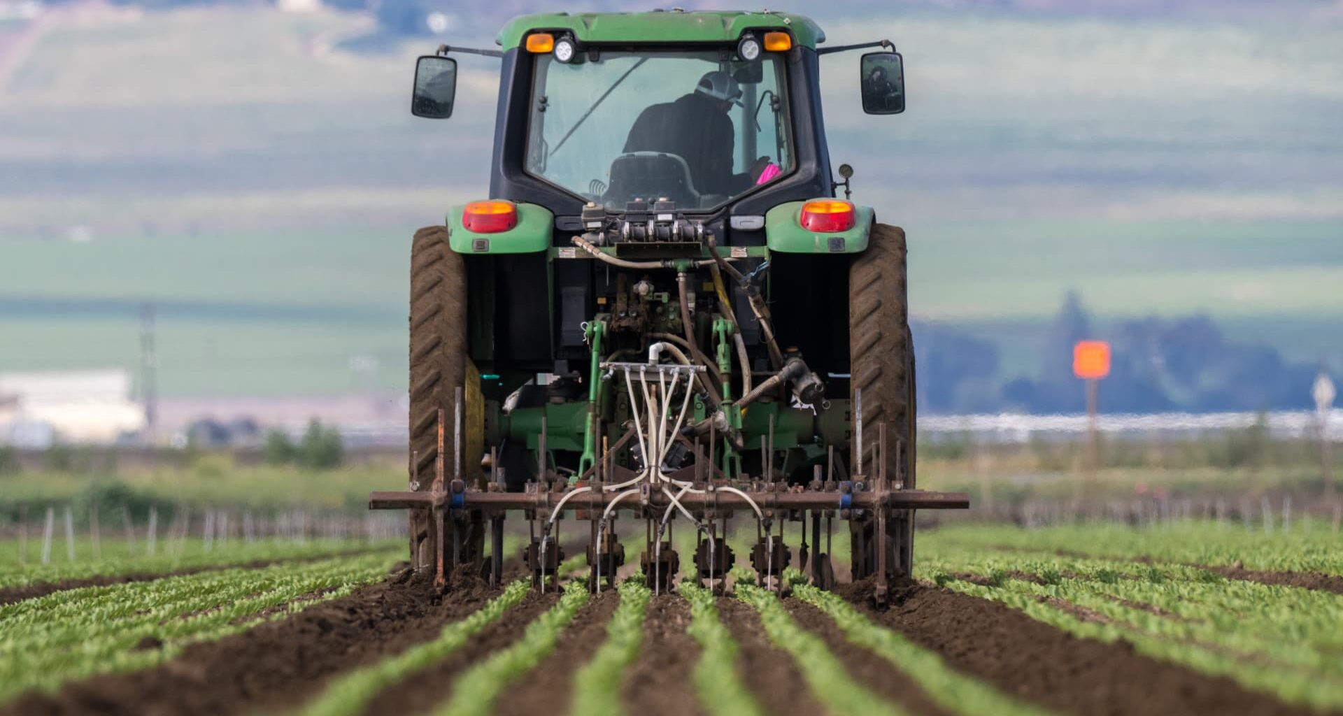 Why a super El Niño event poses fresh risks to food costs